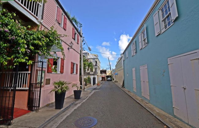 Historic Apt in Heart of Christiansted - Photo 16
