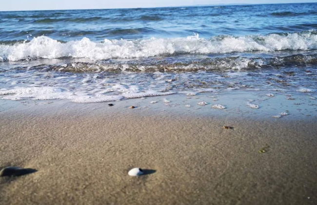 5 Person Holiday Home in Dronningmolle - Foto 43