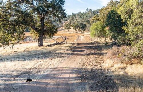 Rolling Oaks Ranch - 200 Acres of Lakeside Beauty & Countryside Serenity - Foto 15