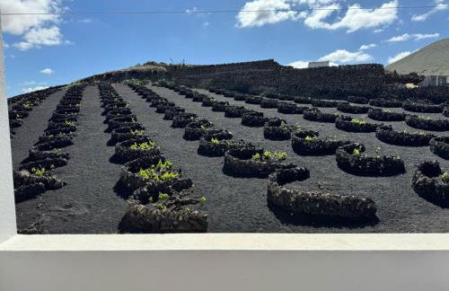 Vineyard House - Foto 28