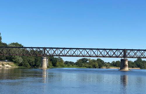 Le Charles VII CHINON - Foto 18