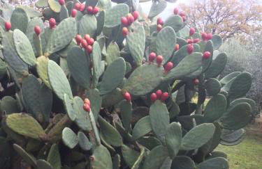 Casa Calicanto - Foto 29