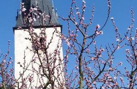 Ferienwohnung Gerhard Lenz - Foto 44