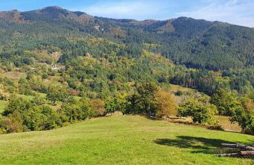 La Sala Vecchia - Lovely Tuscan Holiday house Badia Prataglia, Casentino Valley - Foto 28