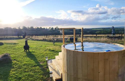 Cosy Off Grid Shepherds Hut with Wood Fired Hot Tub - Foto 8