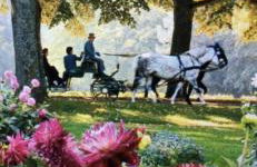 Gemütliches Apartment - Foto 28