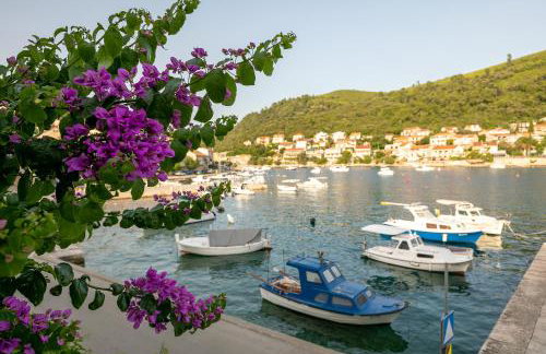 Bugenvilija apartment - Foto 8