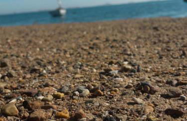 PARADISE GARDEN - Photo 17