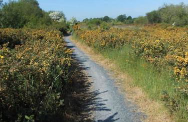 THE LAKE HOUSE: a delightful and peaceful retreat. - Foto 30