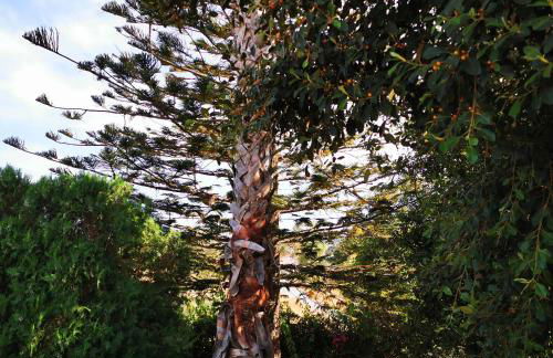 Villa Irene - Photo 8