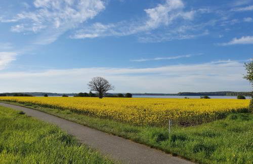 Toplage direkt an der Steilküste - FeWo 1 "Ostseenest" Hohwacht - Foto 28