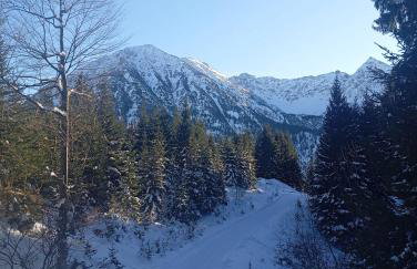 Ferienwohnung-Panoramablick - Foto 16