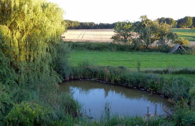 Toad 5 on the Soederbring - Foto 12