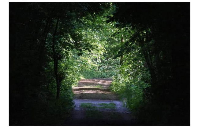 Farmhouse Retreat, Fernelmont - Photo 41