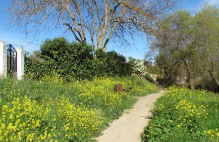 Casita La Pura Vida Yunquera - Foto 27