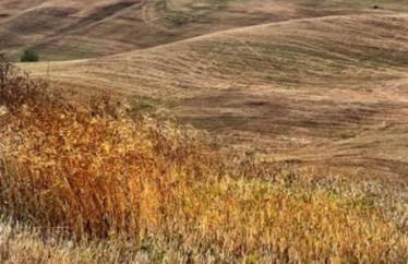 La Casa di Orazio - Foto 39