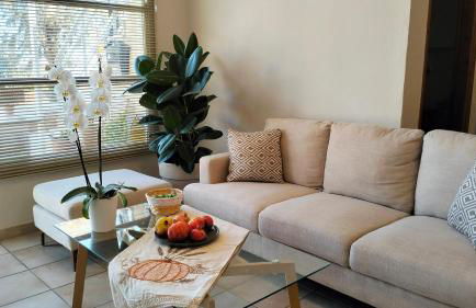 Iris Studios Chios - Foto 49