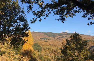 Rocca di Febbre - Foto 33