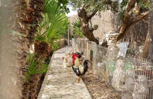 Casa chalet venta ruizo - Photo 33