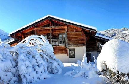 Chalet Côte 2000 ski inski out - Foto 34