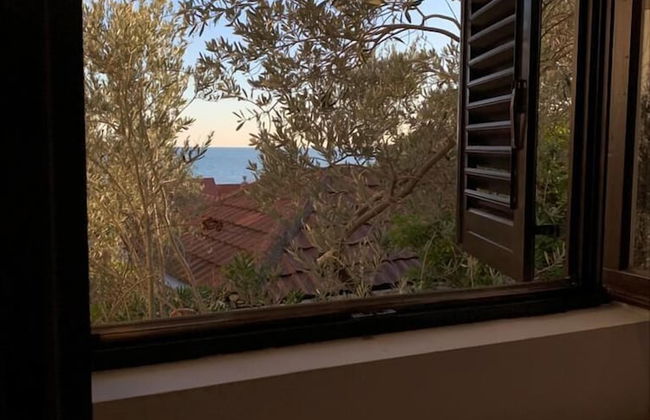 Apartments Petrovac - Foto 6