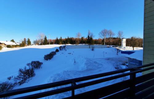 Appartement 13 im Haus Dreisessel - Foto 19