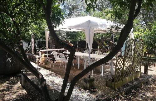 L' Agrumeto - Photo 19