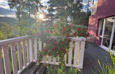 Apartamenty Lavender Hill - Foto 10