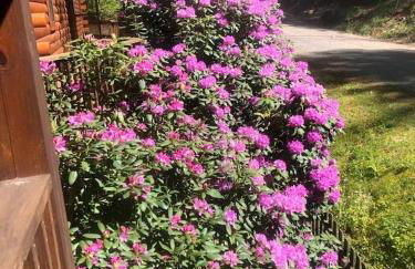 Mountain Gem, Hot Tub, Fire Pit, Views, Starlink Wi-fi - Foto 35