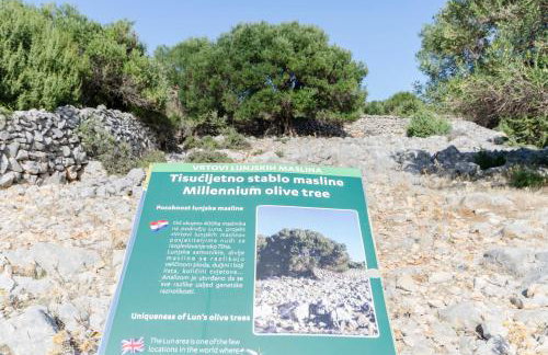 Apartment Luna - Photo 18