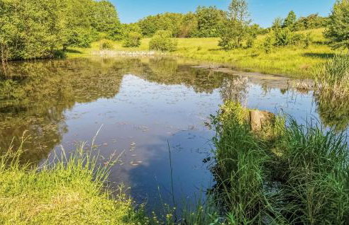 Four-Bedroom Holiday Home In Milakowo - Foto 37