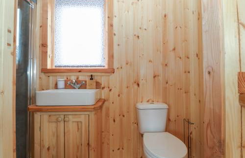 Hafan Gelli Sheperds Hut - Tudwal - Photo 11