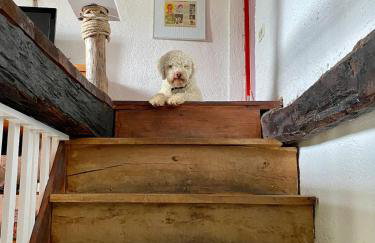 Vila Dolina - Foto 21