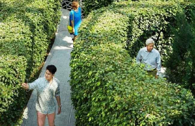 Entrada al Canopy Park del aeropuerto de Singapur - Foto 7