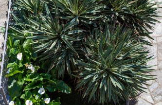 Residenza San Michele - Foto 78