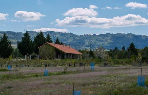 SAQA Organic Farm - Foto 26