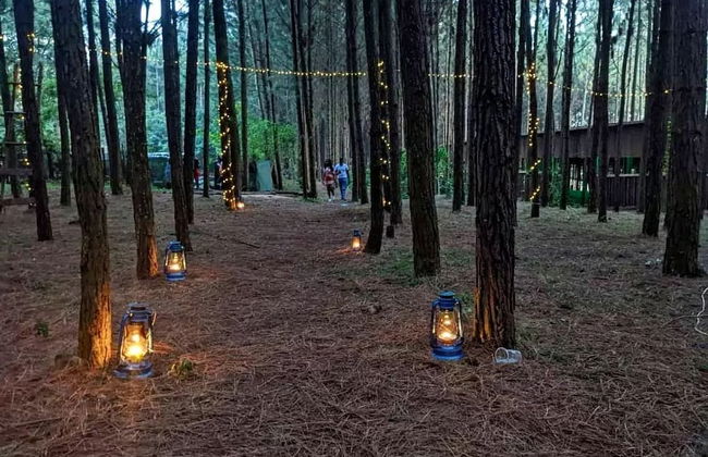 Nyungu Yamawe Forest Park - Foto 39