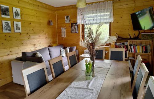 Bieszczadzka Ostoja - całoroczne domy na wynajem w Kalnicy - Foto 55