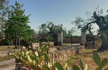 La Petraia - Foto 25