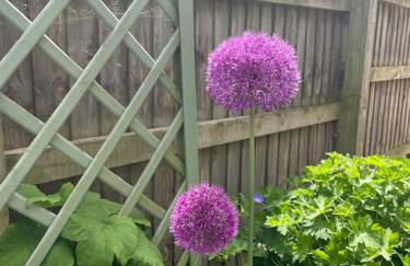 No 96 Chapel Lane - Self Contained Cottage In The Heart Of Butleigh - Photo 28