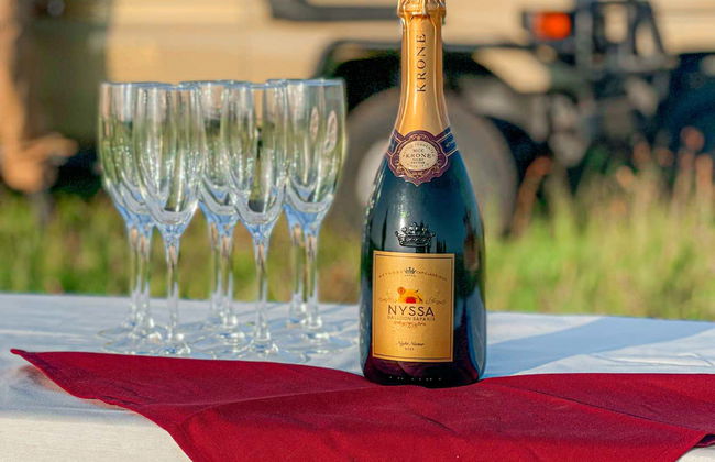 Balloon Ride Over Serengeti National Park - Foto 11