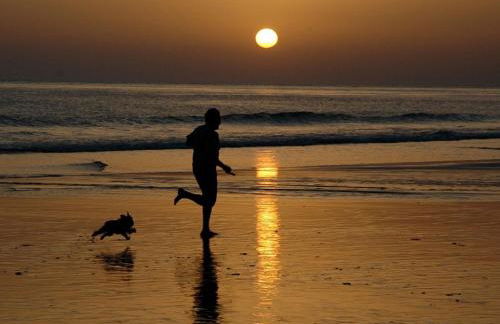 Finca el Abuelo Manuel - Foto 28