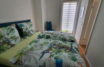 Ferienwohnung Mönchgut II - Foto 9