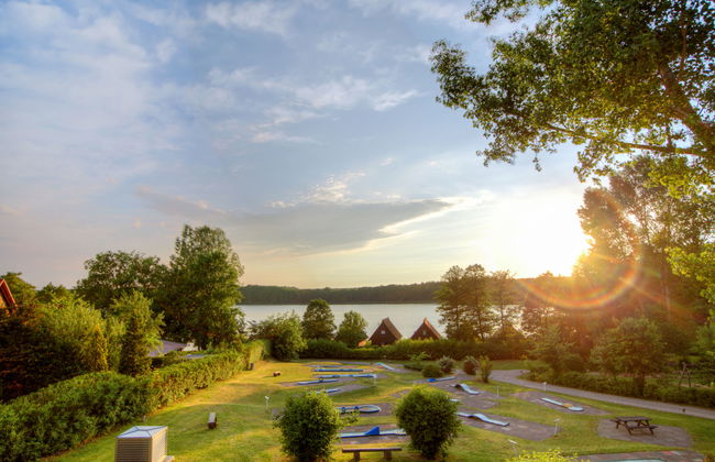 Seeschwalbe - Foto 13