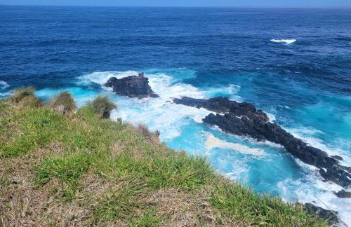 Casa das Azorinas - Foto 32