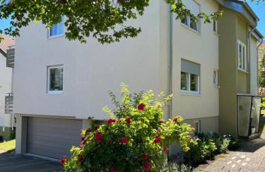 Schwarzwald Appartement Steffanie - Foto 1