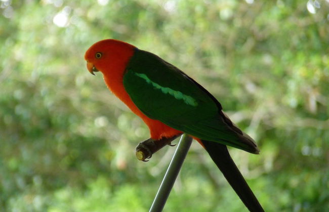 Bellthorpe Stays - Foto 41