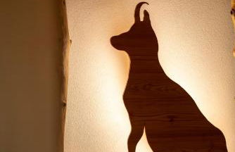 Casera Degnona - Foto 42