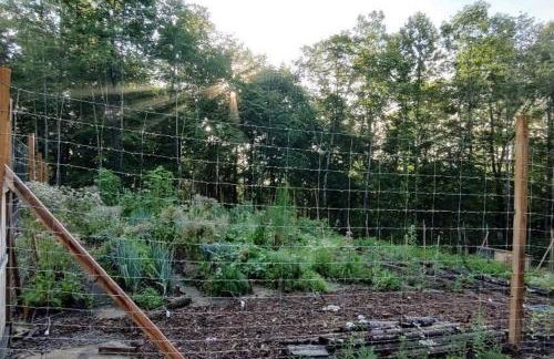 Healing Acres - Foto 39