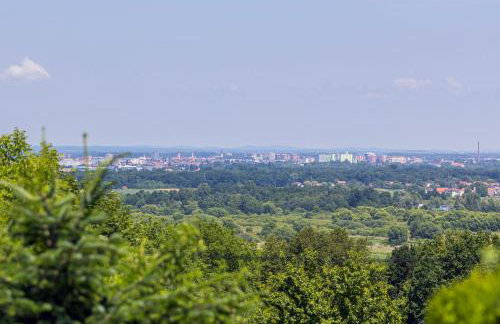 Holiday Home Beretinec Hills - Foto 9